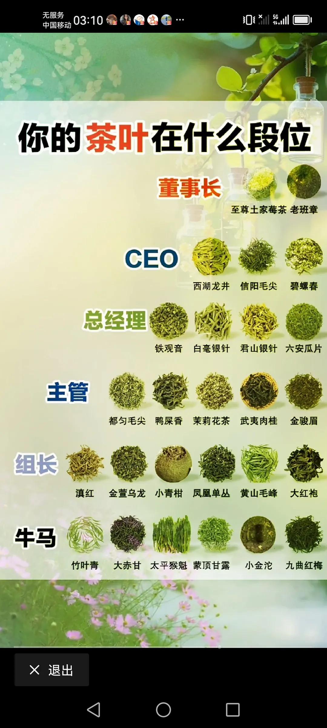 茶🍵友们，你们平时爱喝的茶是在什么段位？