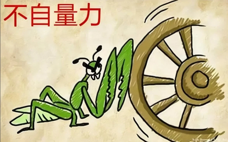 看曹金如今的状况，有时真的很纳闷。这位曾经自诩养活了半个德云社的天才，咋突然就不