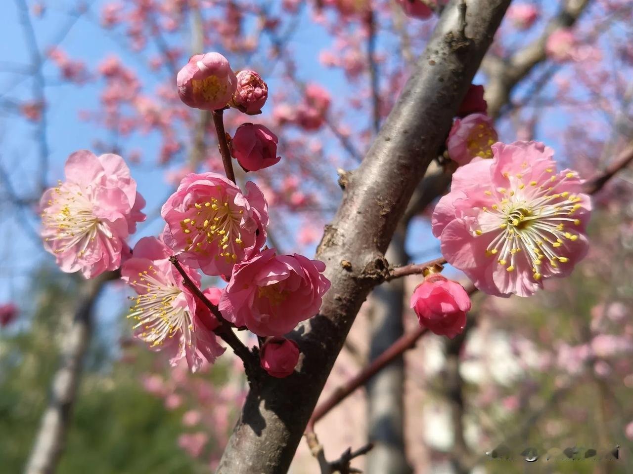 “躺平″的教师是什么样的？[比心]领导眼里的