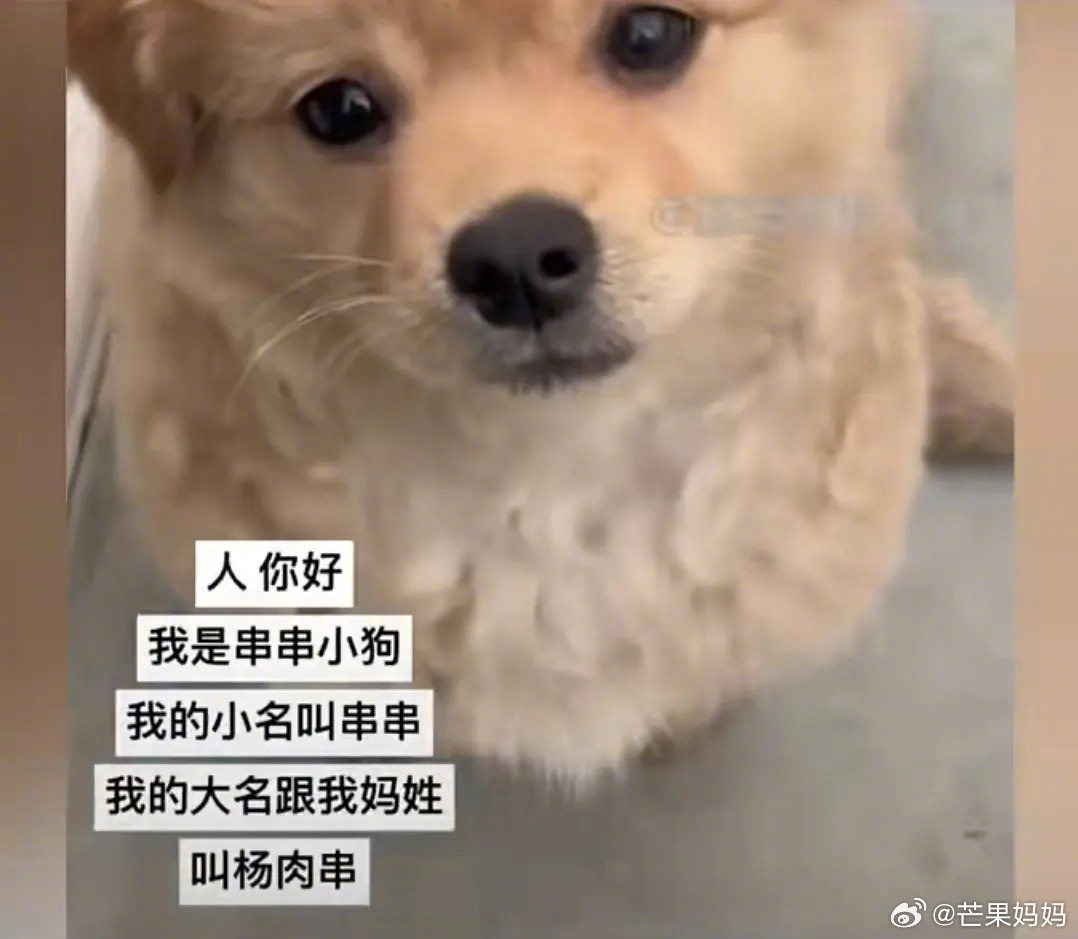好一个一人做事一人当，当当做事当当当​​​