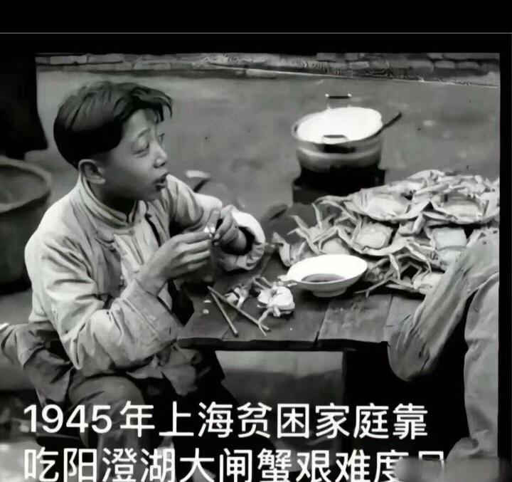 沪九条我这狗屎般的笑点梗图此图有梗生命是平等的这就是时代的沪九条我