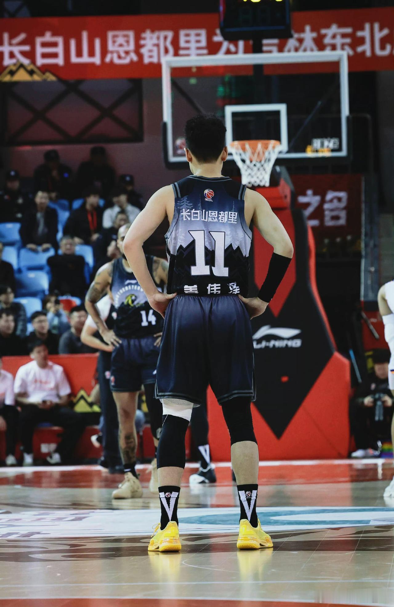 直面吉林东北虎的病猫窘状，姜伟泽发出了灵魂之问：那明年呢？在姜宇星转投辽宁三生飞