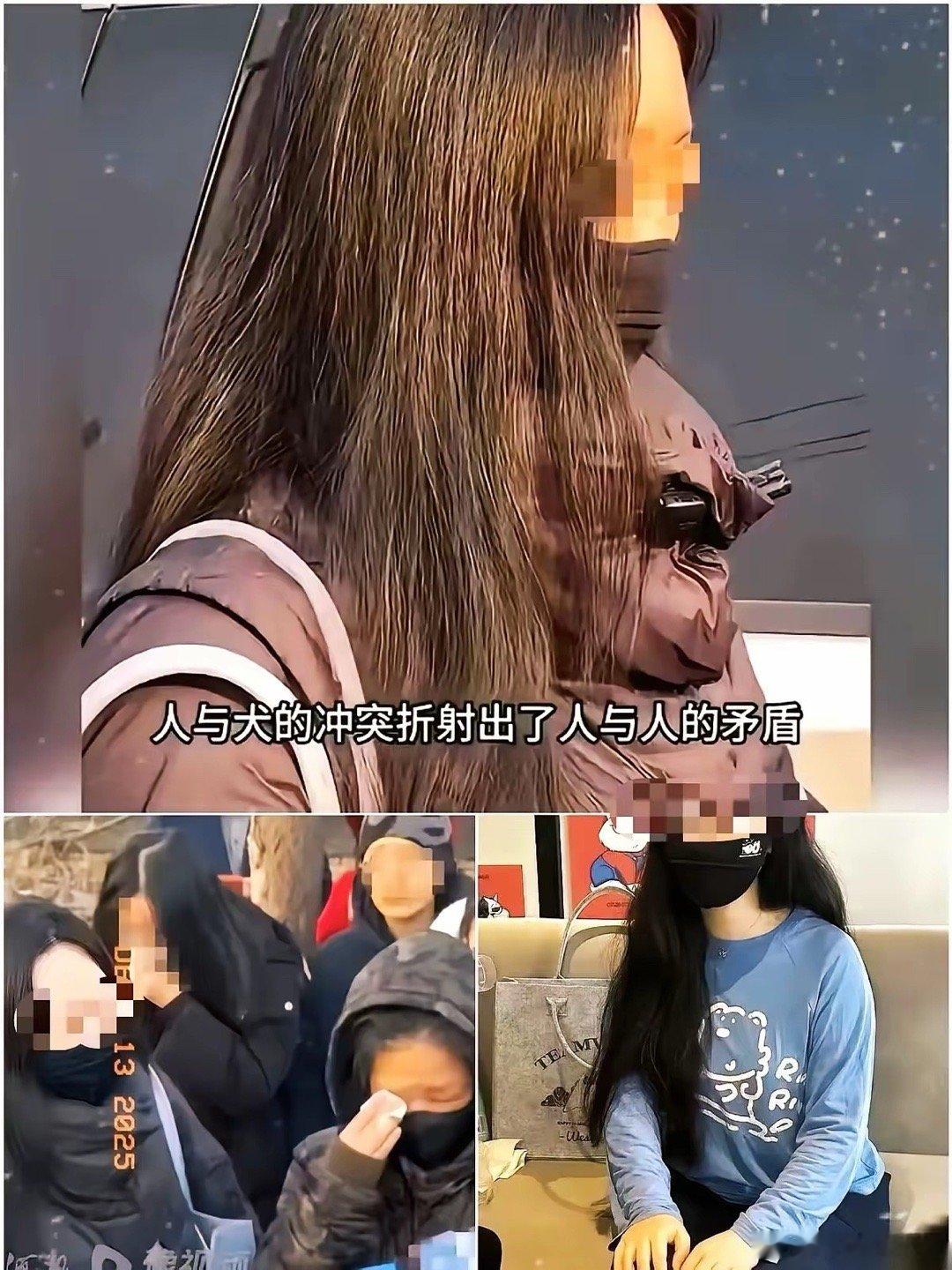 北京的这场人与狗的较量，最后以投毒的张某入狱四年画上了句号。而画面中的这个女人也