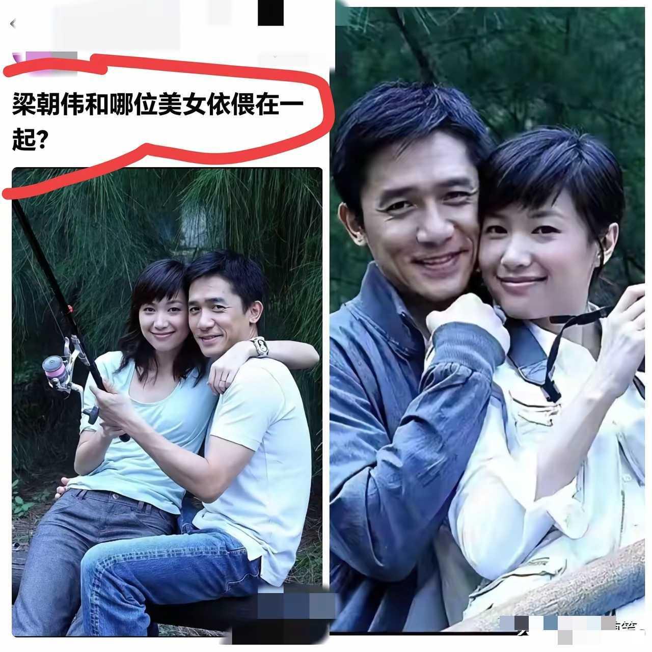 网友找瓜的能力是真强。