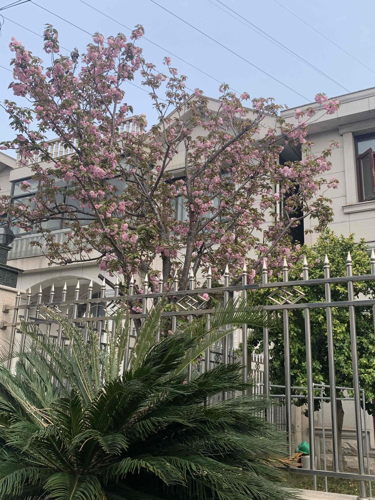 属兔的人在人缘方面那是相当不错。他们性格温和，就像春日里的微风，让人感觉特别舒服