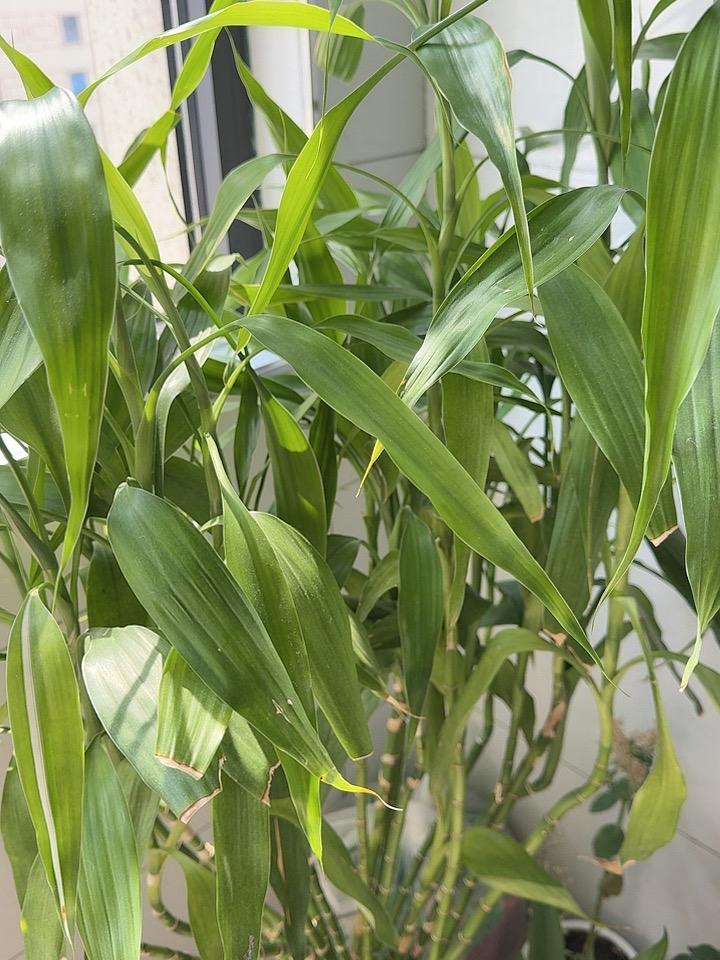 在单位里，不要以为领导是闲聊，他喜欢和你聊什么，决定了你的地位他聊什么，决定