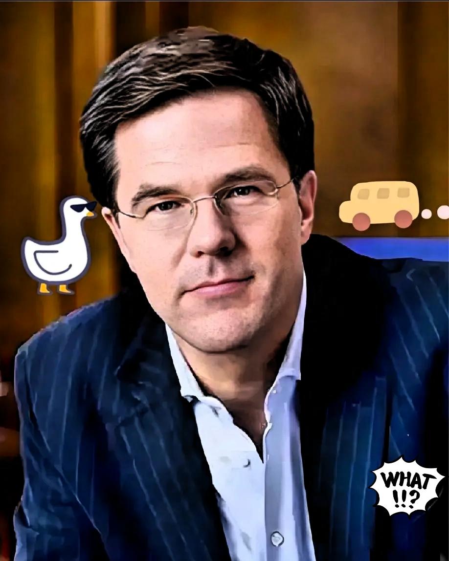 就在昨天荷兰总统正式宣布了！荷兰总统宣布安世半导体将于10月31日正式断供