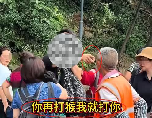 闹大了！就因为一个“猴子”，南京文旅账号都开启防护模式了，评论区里都在说