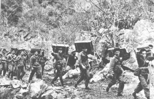 魁剥山谷没打一枪就乱了，地图是旧的，人是凑的，密码本烧了就失联了。那晚不是打仗