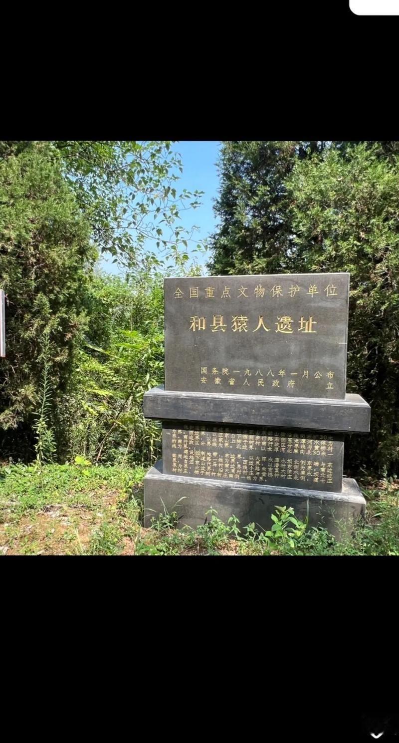 2.古人类化石新突破：新出土2枚直立人牙齿化石，其中1枚右上颌第三臼齿为遗址首