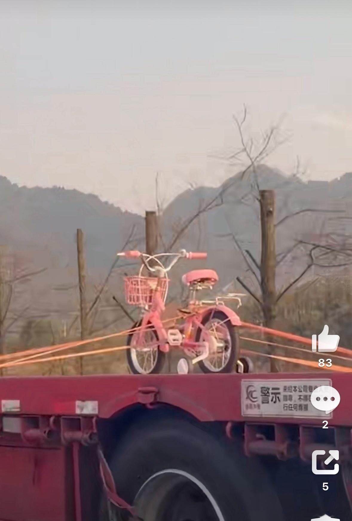 长长的货车只拉一辆粉色小自行车！近日，在渝蓉高速上一辆大货车只拉一辆粉色小自行车