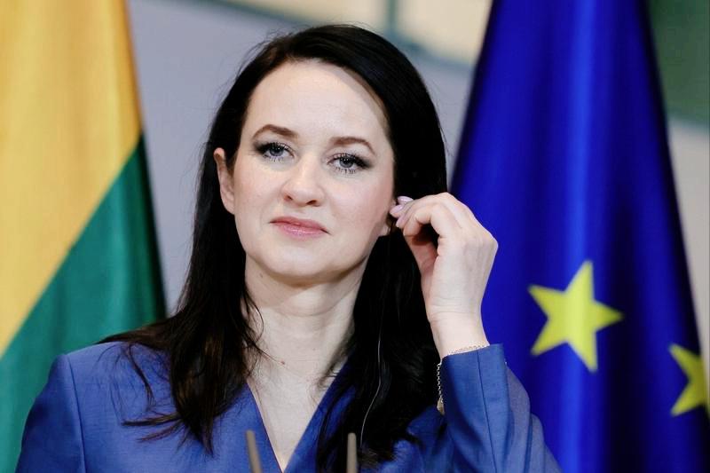 不演了！立陶宛内讧，把家底都吵出来了！最近上演了一出好戏，政府内部因