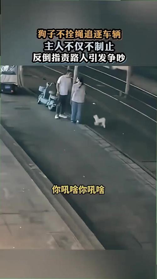 在此我郑重致歉。今天我出门遛狗没有牵绳，违反了文明养犬规定，还因为自身情绪激动，