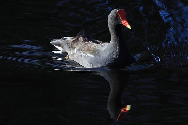 一位社交达人说：别再硬挤圈子了：没有你位置的社交，进去也是站着。有一个很残酷