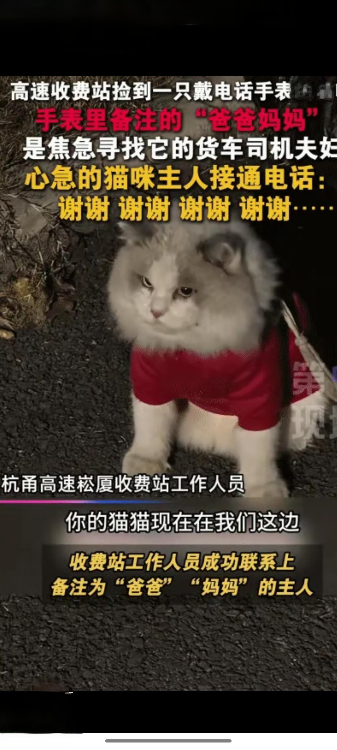 浙江一高速收费员晚上巡逻时，12月15日报道发现旁边草丛有动静，一开始以为是流浪