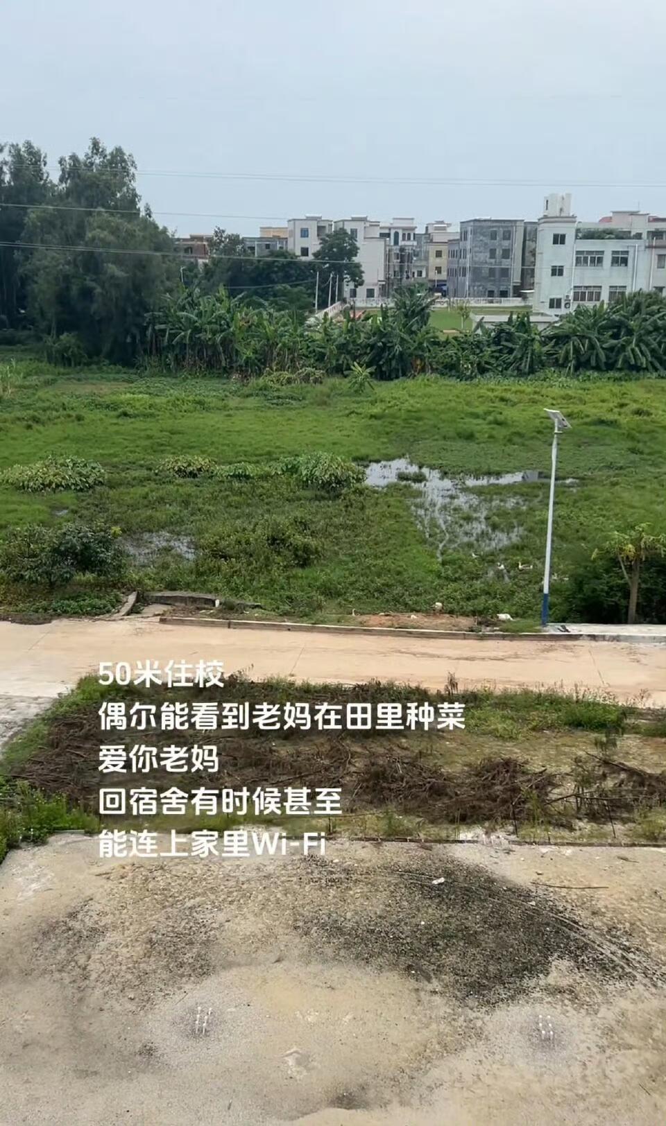 学校离家50米是什么体验？​​​