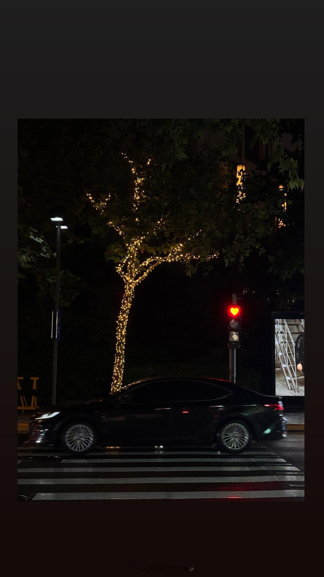 最近没怎么拍照捏～发点记录的生活📔​​​