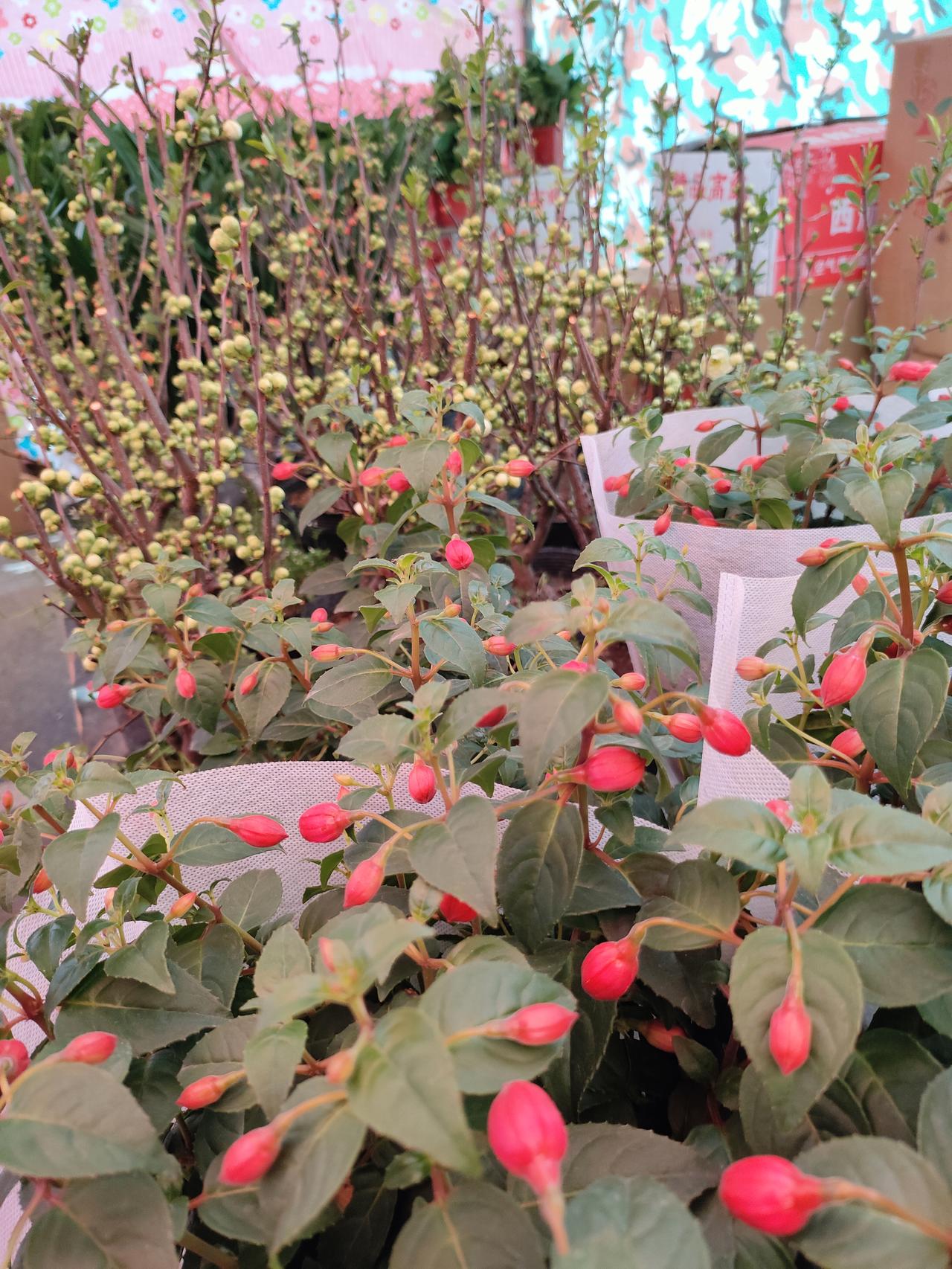 人到中年，最好的状态：平静活，开心笑，适度忙人到中年，好像突然就活明白了。