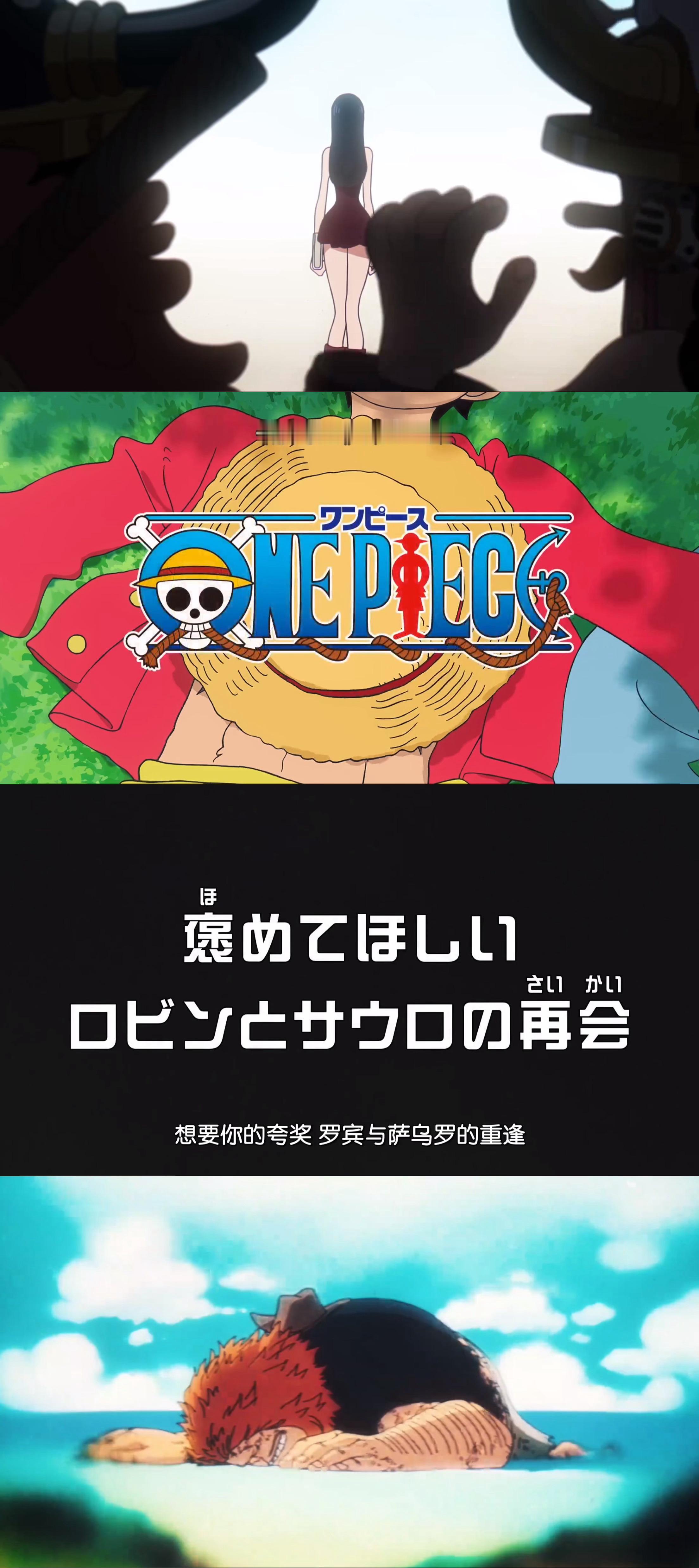 【考拉妙趣享OnePiece动画周追说】OnePiece动画第1163话⤷想