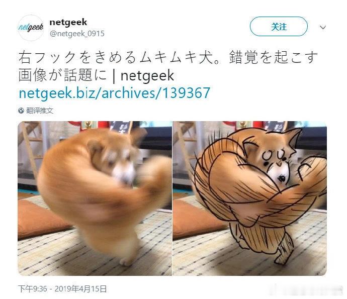 点进来看肌肉男💪宠物卖萌中心meme​​​