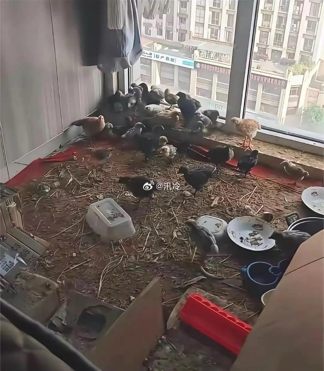 乡下的丈母娘住我家半年一间小卧室就变成这样