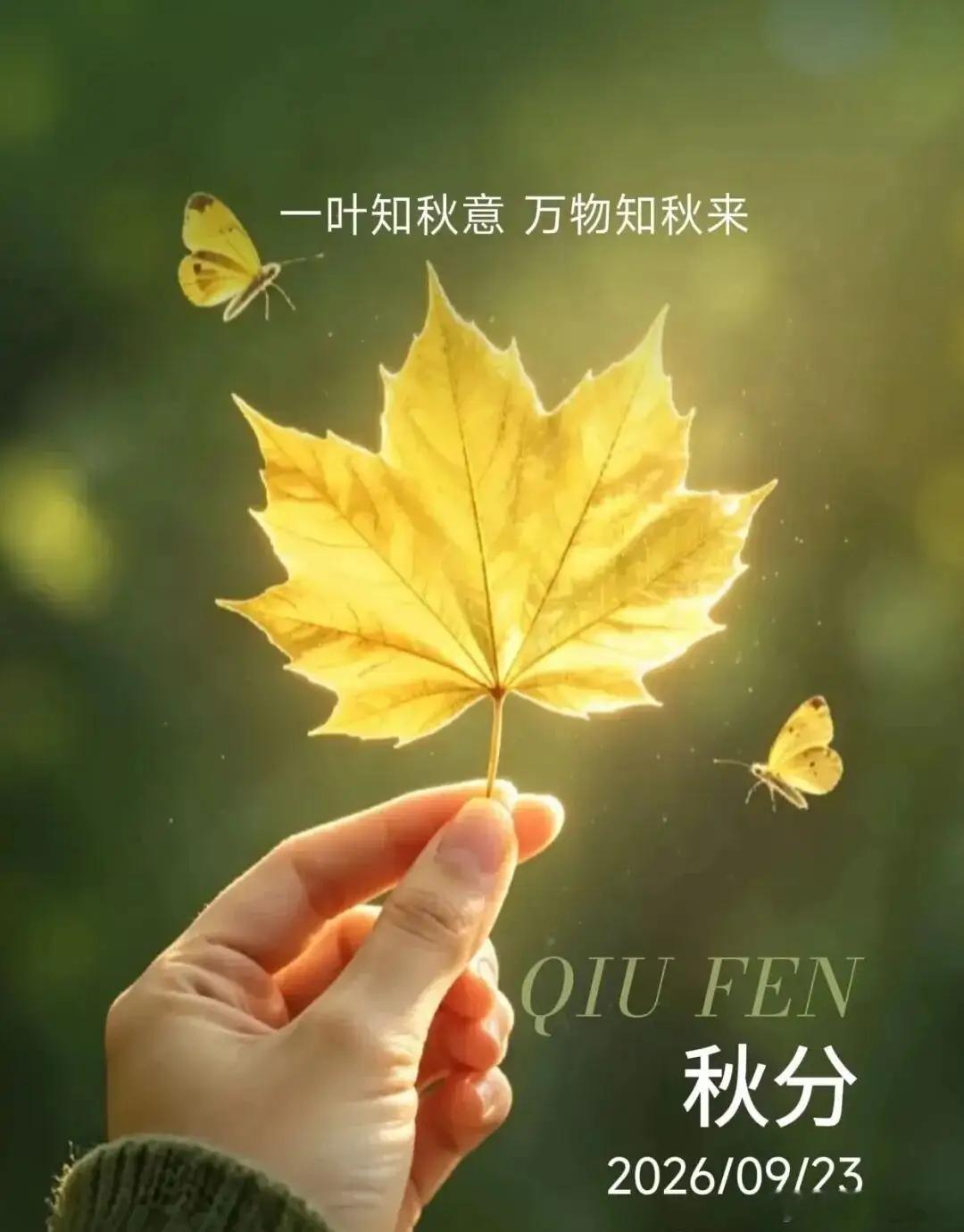 畅达散（自拟方｜圆运动思路，主打疏肝畅中、斡旋气机）说明：畅达散并非古籍经典经方