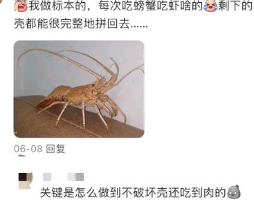 给路人都整笑了