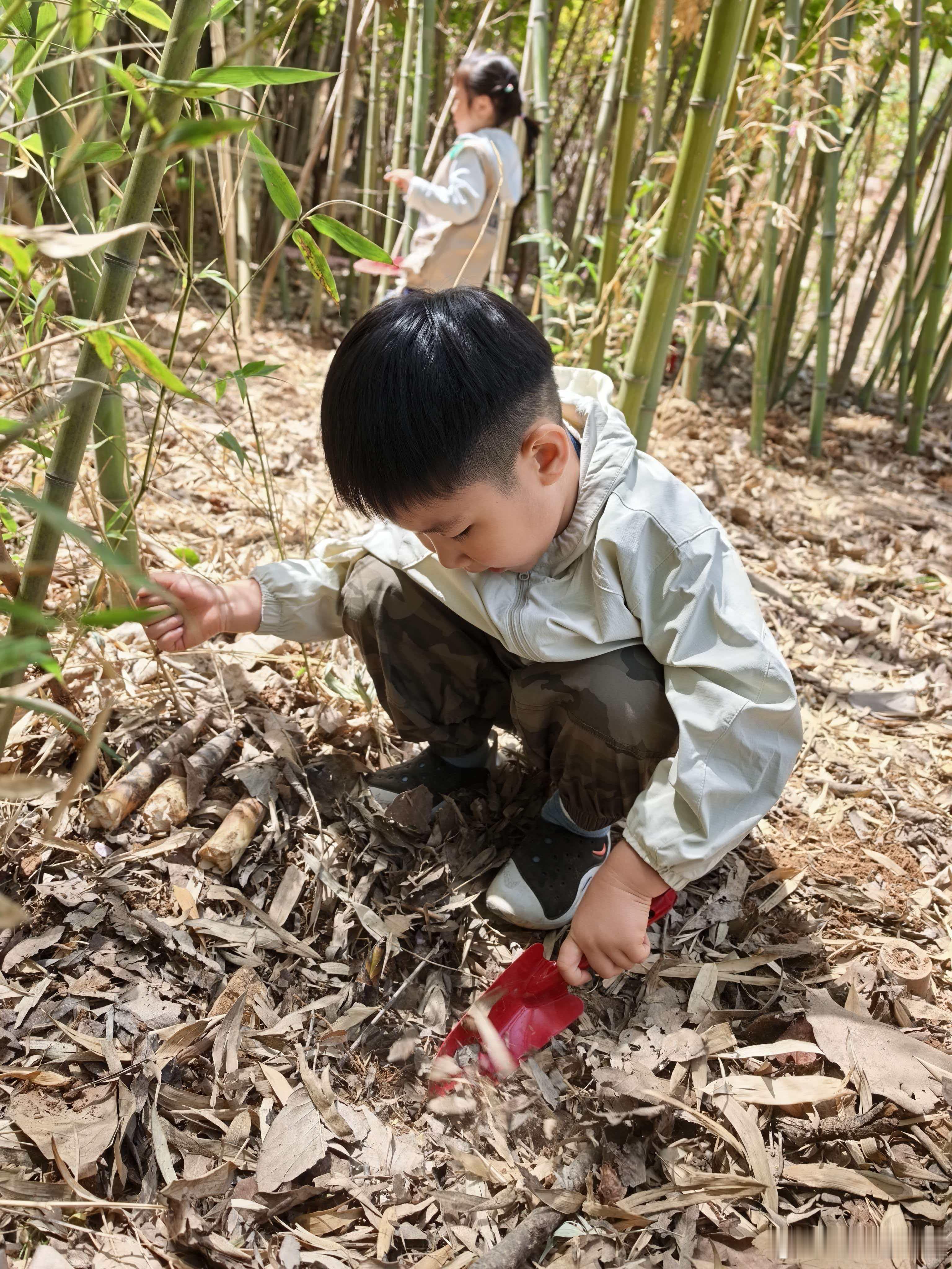 谷雨时节雨纷纷，春寒收尾湿邪困，按揉耳尖降肝火，神门按完睡的稳，交感点揉调脾胃，