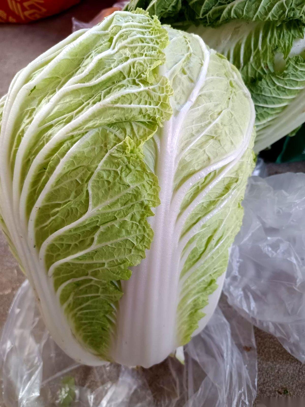 好家伙。今天去趟菜市场，差点以为自己眼花了。大白菜，九毛九一斤。你敢信？大