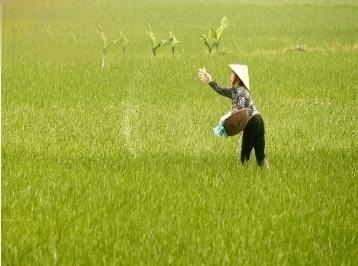 伊朗战争冲击化肥供应，全球农民可能转向种植需肥较少的作物，但外媒表示中国由于对煤