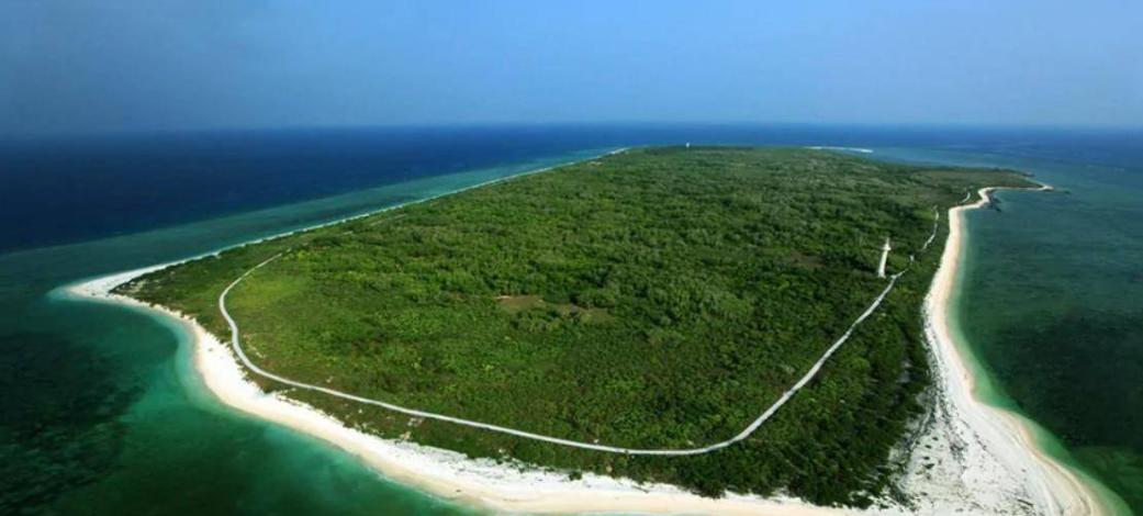 我国西沙群岛“天降”400多只野牛，没人知道它们是从何而来！这些牛群在东岛的热带