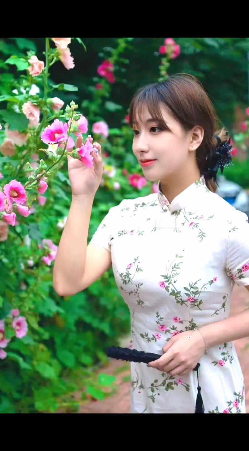 旗袍美人优雅气质国风古韵清纯甜美