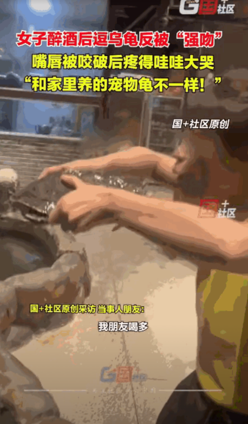 “丢人丢大了！”重庆，一女子在饭店吃饭时喝多了，就来到大厅里透气，发现水池中有甲