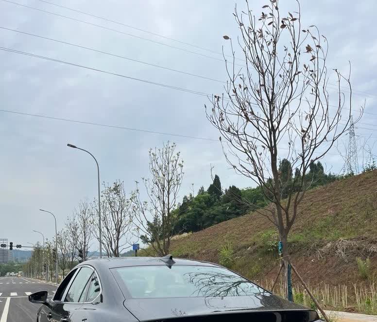 看不上新能源，选择了迈腾，但是说实话真的后悔了！因为大众迈腾380是真的
