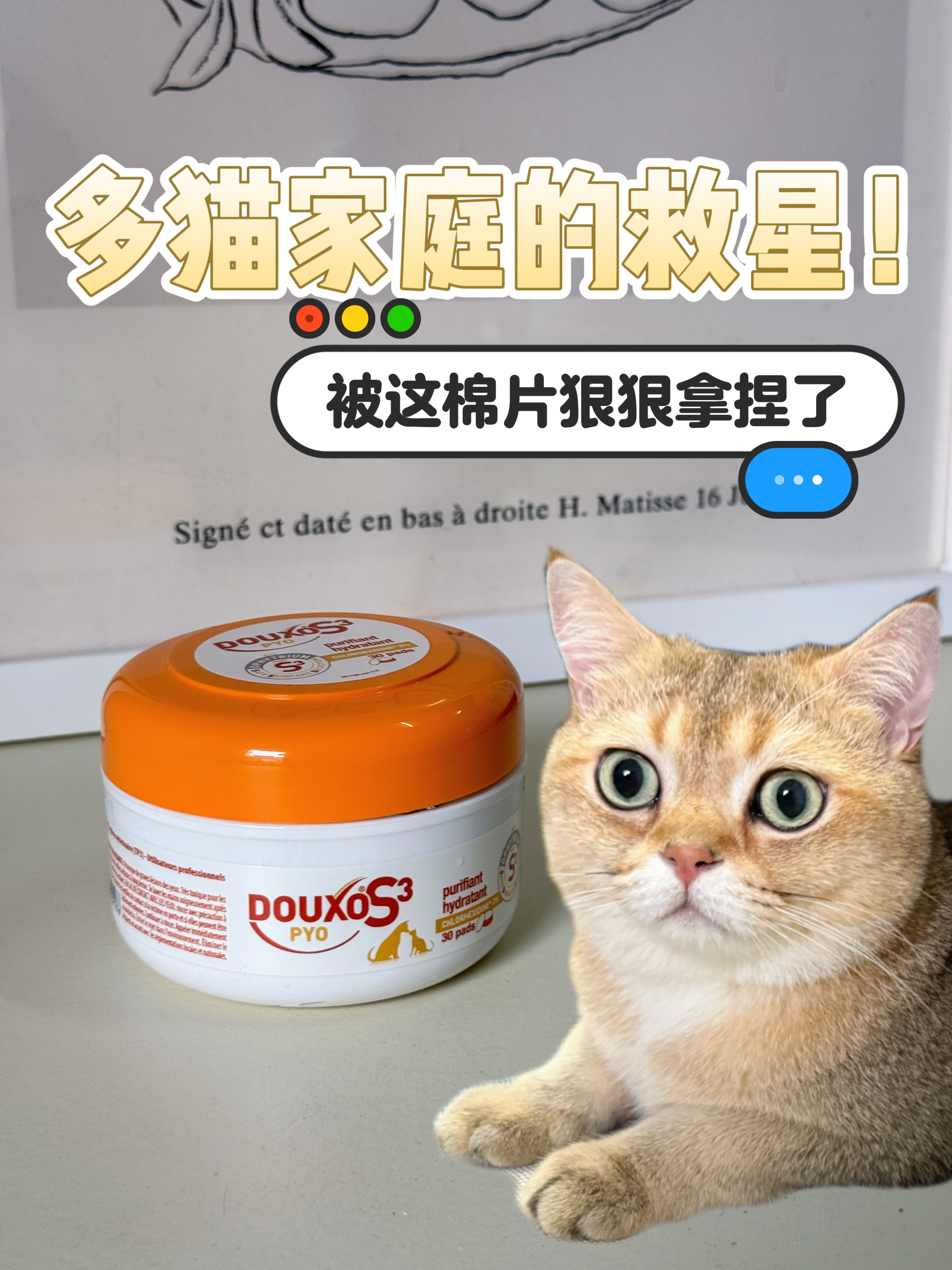多猫家庭的救星！被这棉片狠狠拿捏了！🐱