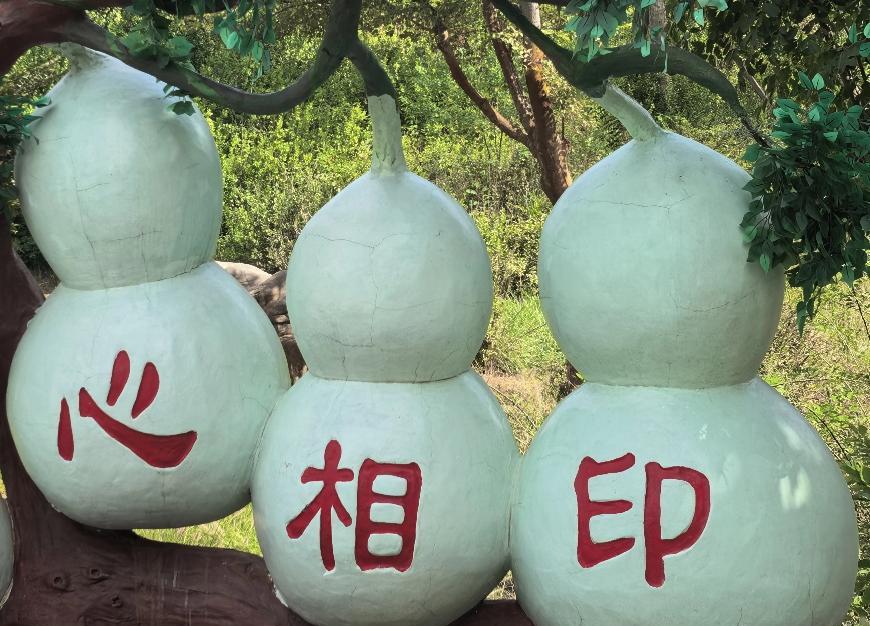 邻居大嫂家的女儿今年28岁，华中师范大学研究生毕业，专业英语。可是女儿最近却感