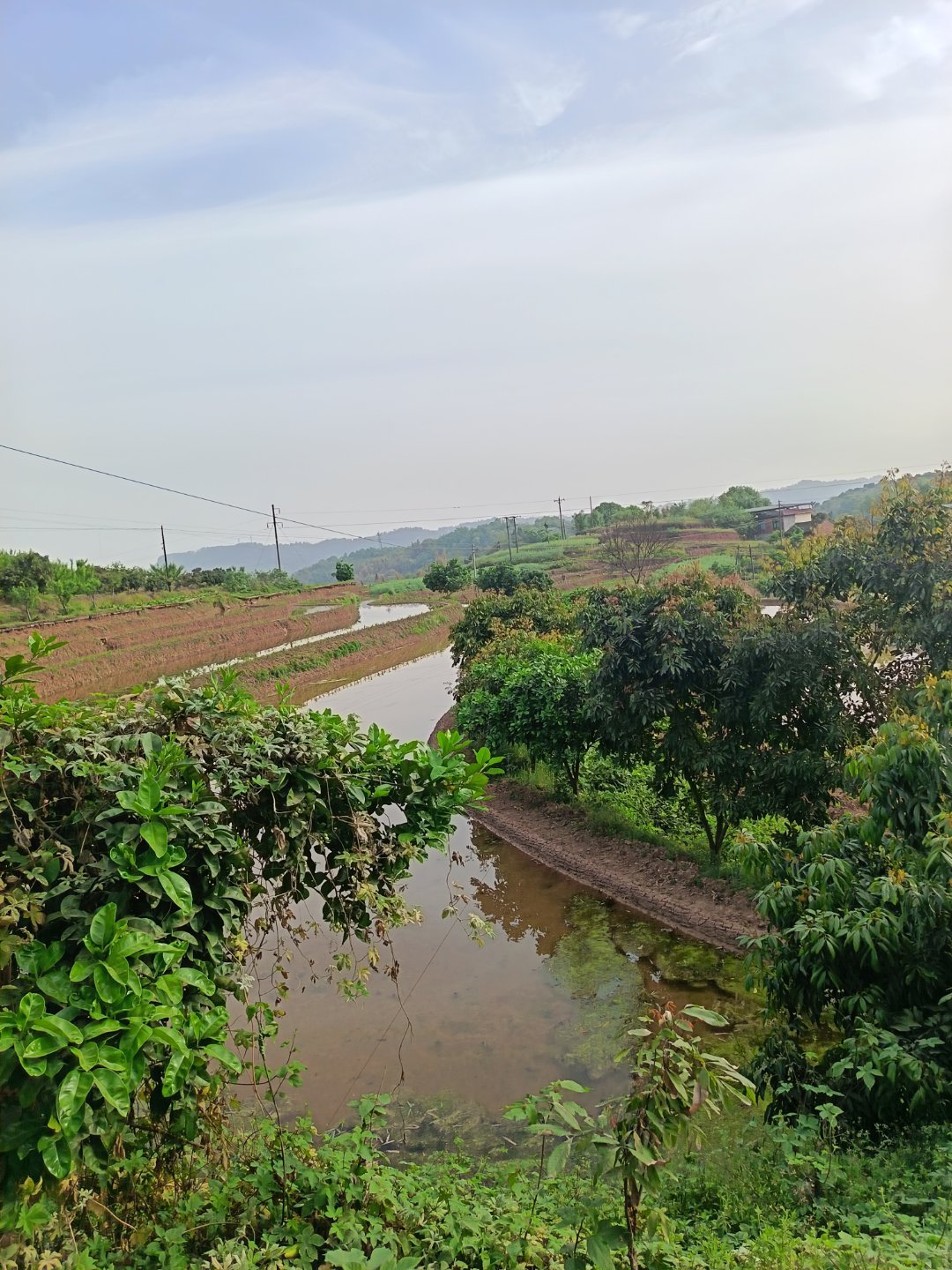 摄影镜头中的家乡山水。摄影家乡随手拍美景​​​