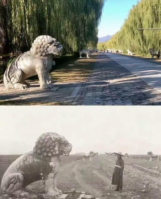 这就是为什么以前闹饥荒饿死人，简直寸草不生网友表示：不说别的地方，也不