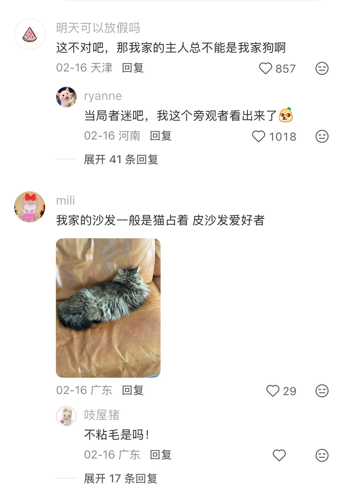 家里沙发规则怪谈