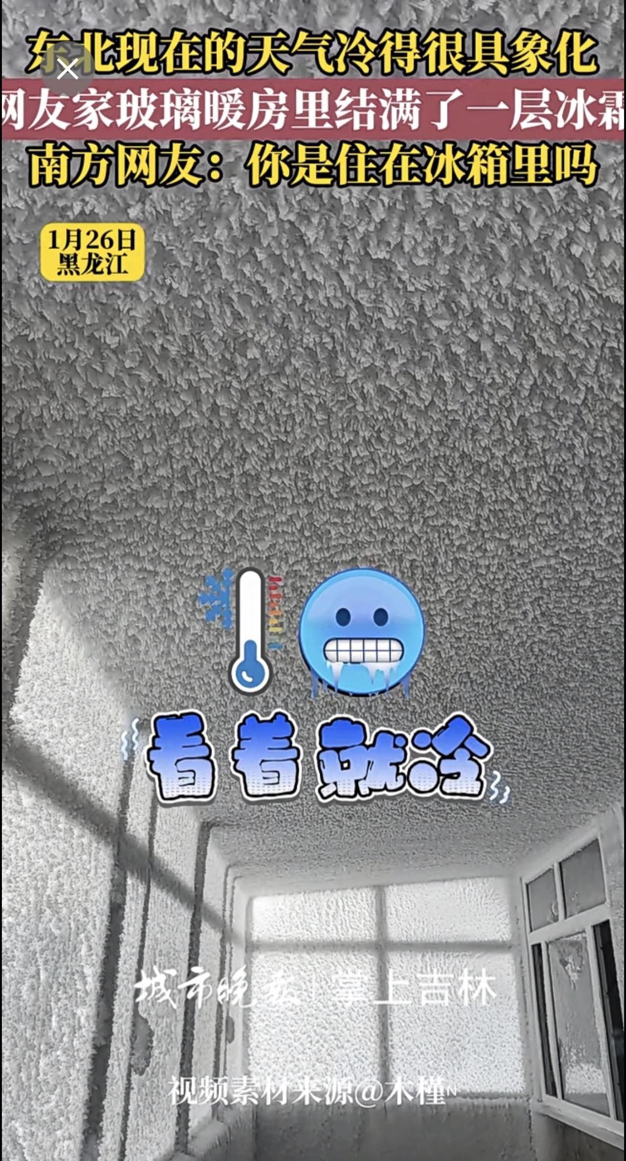 东北的冷具象化了，网友家的玻璃暖房结了满满一层冰霜，南方网友：家里啥条件，住上“