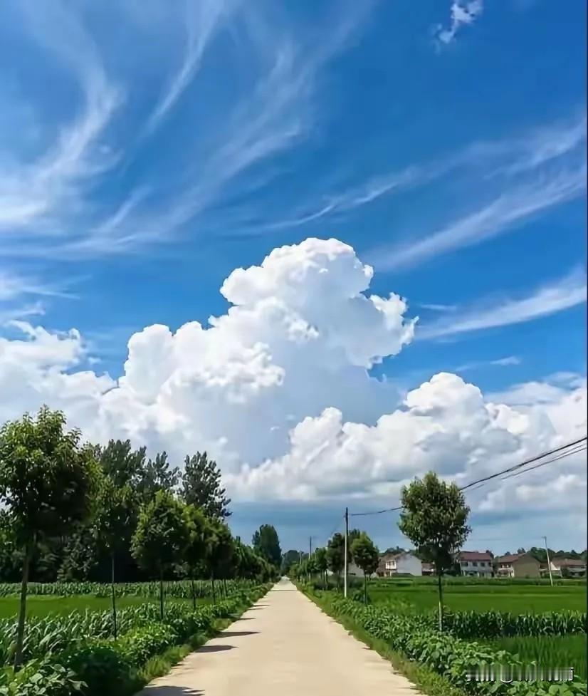 提前通知一下，大家好有个心理准备。今天8月21号，已是末伏第八天了，而且今年的中