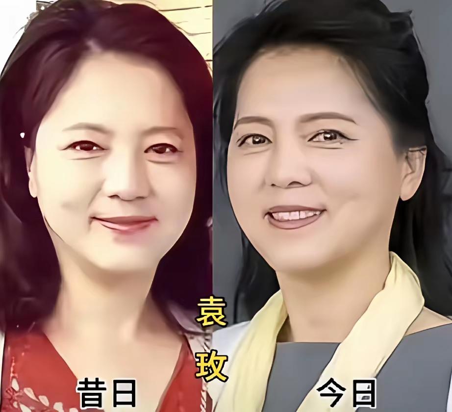 年轻的时候妆容很惊艳。韩再芬演唱黄梅戏《天女散花》《女驸马》《牛郎织女》都特别