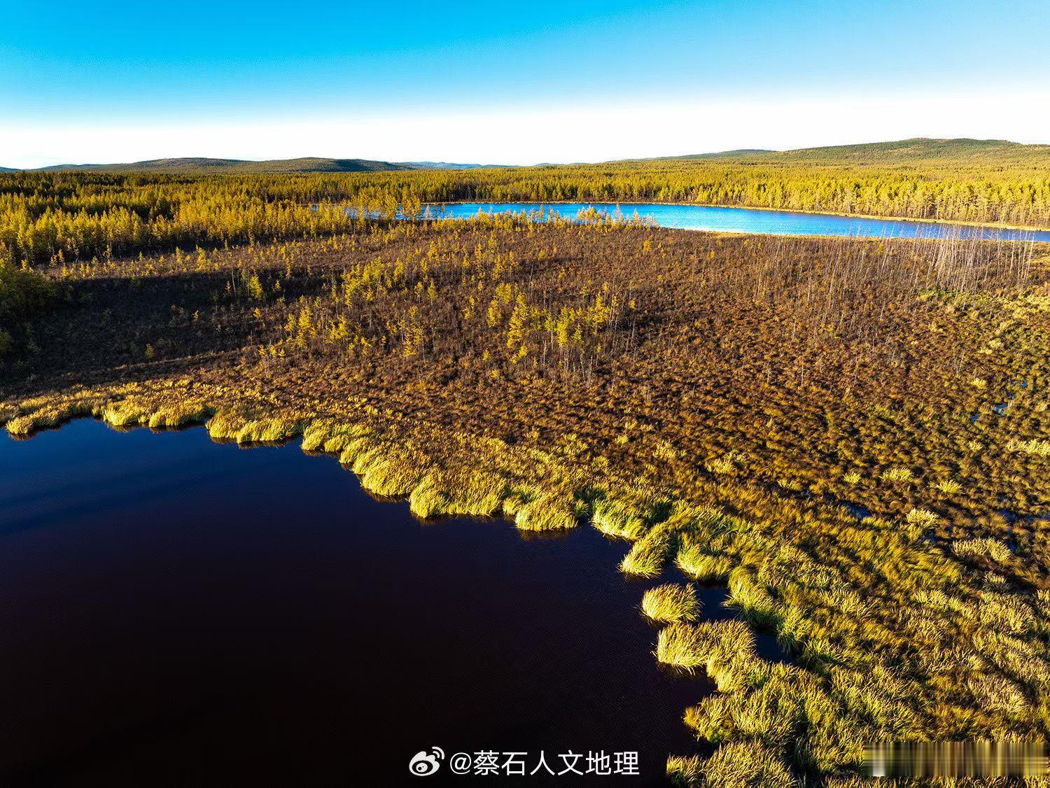 在大兴安岭北段的原始森中，隐藏着一片面积巨大的湿地，这里位于汗马保护区中心区域，