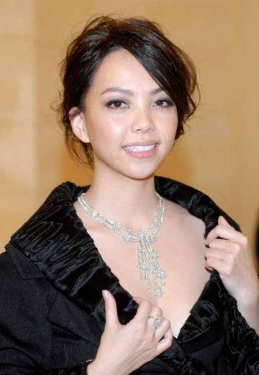 2010年，37岁的张惠妹对31岁的酒吧调酒师一见钟情，她为他砸下1500万，决