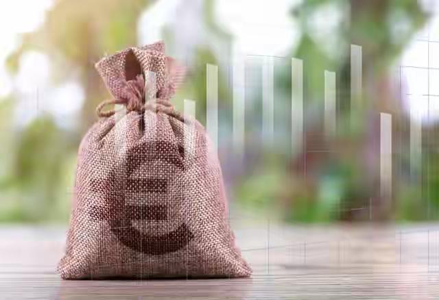 37亿惠农补贴“回家”了，但农民的口袋真的鼓了吗？“钱回来了，地还在荒。”