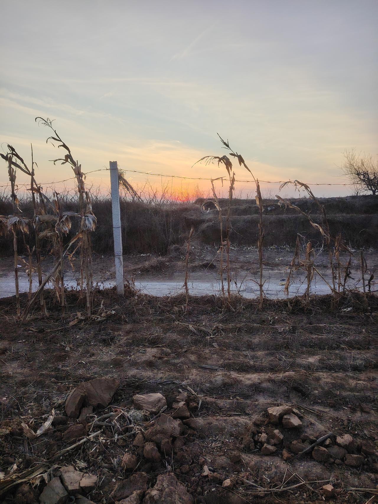 分享一张傍晚照片夕阳西下的景色真是美极了！