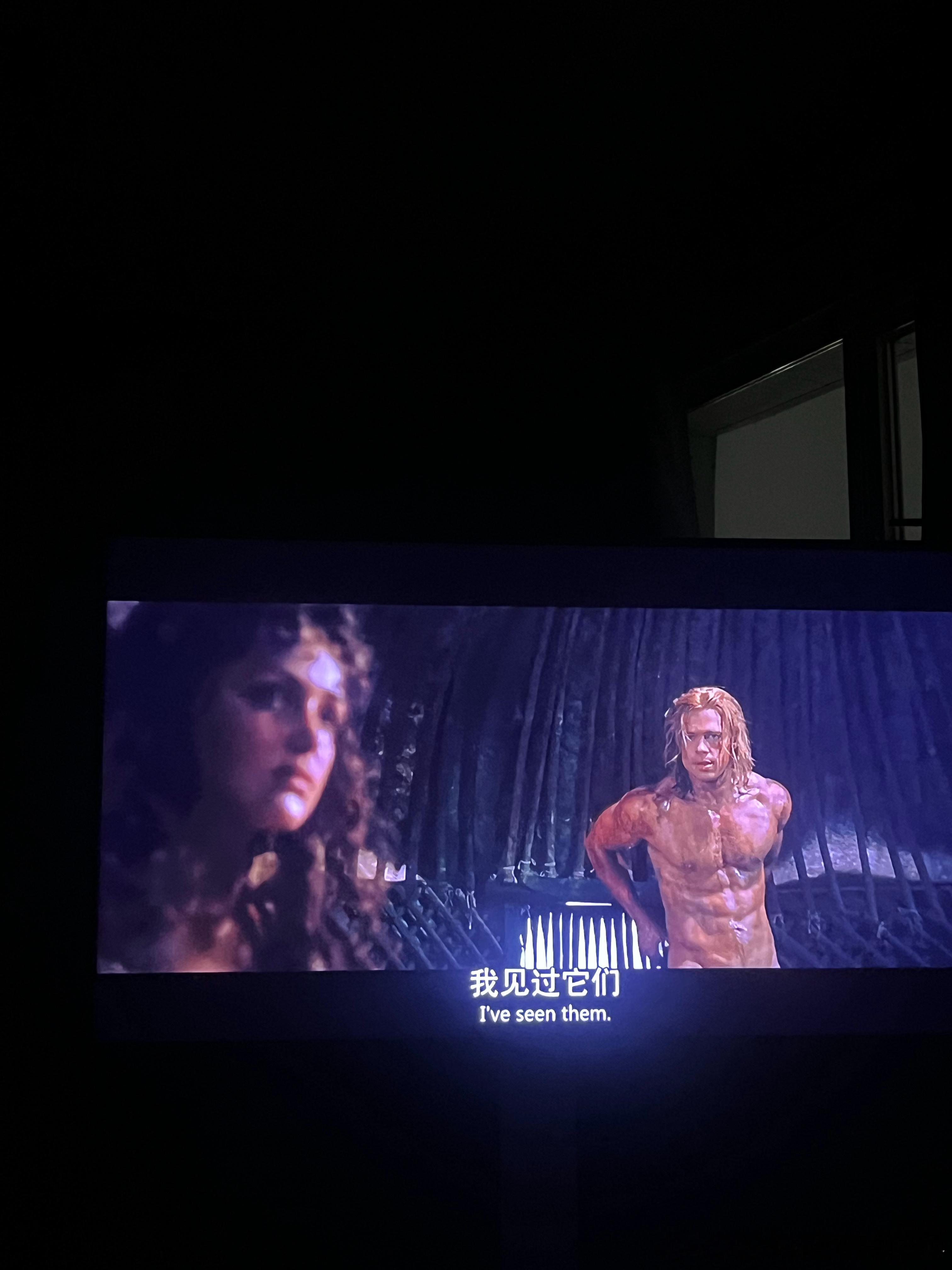 昨晚重看了《特洛伊》，它拍得非常古典，所有演员都赏心悦目，但这个版本在很多重大情