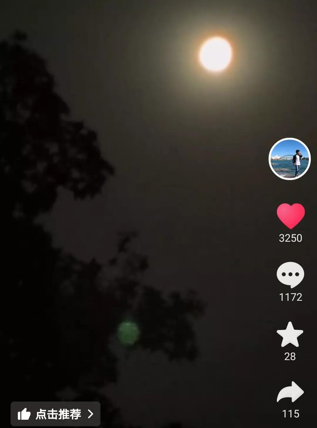 咦，这不是浪浪山小妖怪里的黄大仙吗？咋跑到大街上了，网友还以为是小松鼠，没想到被