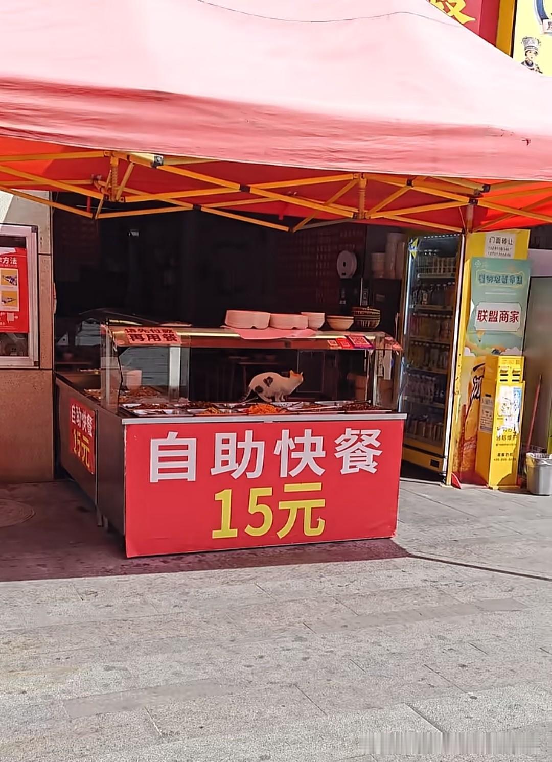 小咪也是吃上自助餐了，又一家店的生意要完了！定位在贵阳国际会展中心金融城这家15