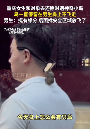 “解释不清了！”四川成都，男子和女朋友去寺里还愿。突然，有一只小鸟飞到他肩上，停